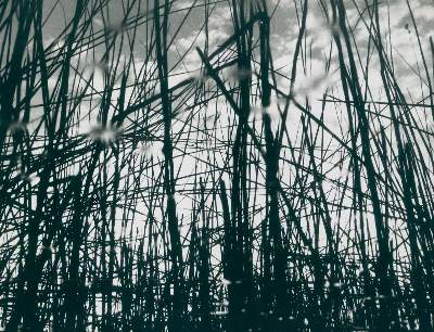 Bild Nr.1: 128-3208 Clergue, Lucien: (Photographie)