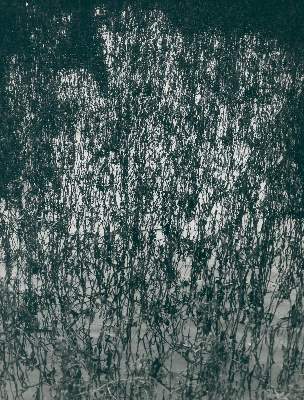 Bild Nr.2: 128-3208 Clergue, Lucien: (Photographie)