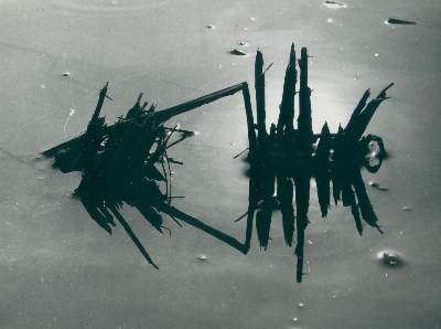 Bild Nr.2: 128-3209 Clergue, Lucien: (Photographie)