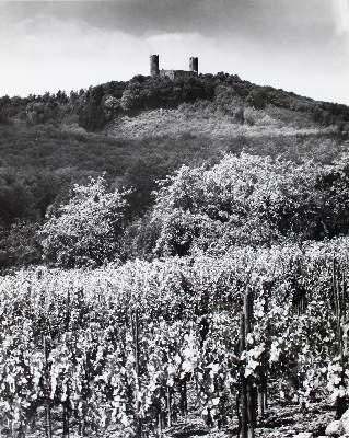 Bild Nr.1: 128-3245 Rapp, Alf: (Photographie)