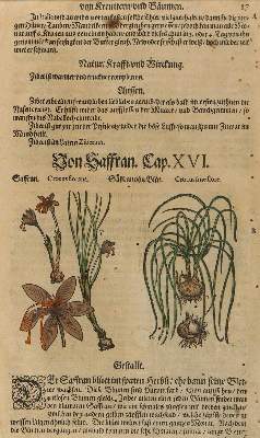 Bild Nr.1: 128-3277 Matthiolus,P.A.: (Varia, Botanik)