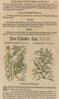 Bild Nr.5: 128-3277 Matthiolus,P.A.: (Varia, Botanik)