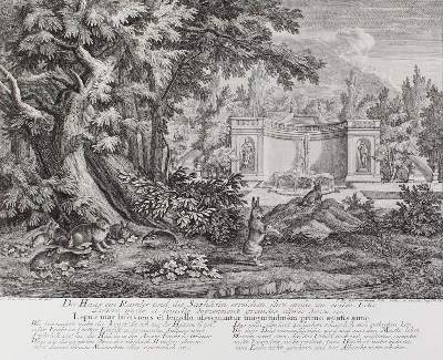 Bild Nr.1: 128-3308 Hasenjagd.: (Varia, Jagd, Ridinger)