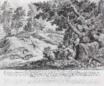 Bild Nr.11: 128-3308 Hasenjagd.: (Varia, Jagd, Ridinger)