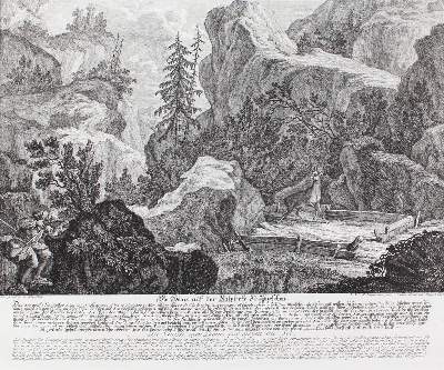 Bild Nr.1: 128-3309 Hirsch.: (Varia, Jagd, Ridinger)