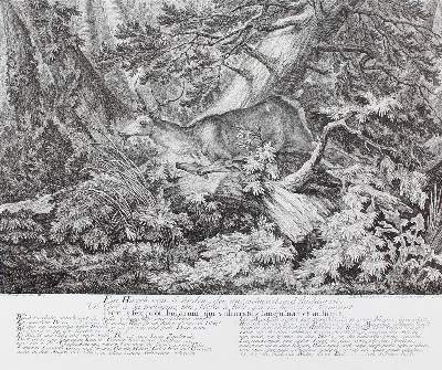 Bild Nr.61: 128-3309 Hirsch.: (Varia, Jagd, Ridinger)