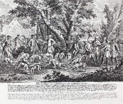 Bild Nr.21: 128-3310 Hunde.: (Varia, Jagd, Ridinger)