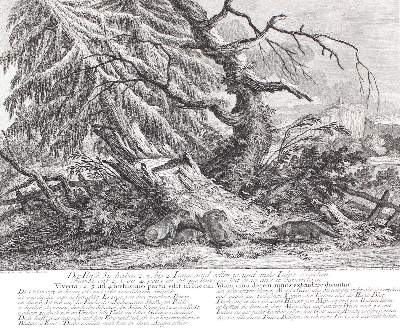 Bild Nr.1: 128-3311 Iltisse.: (Varia, Jagd, Ridinger)