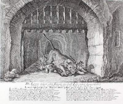 Bild Nr.1: 128-3313 Löwen.: (Varia, Jagd, Ridinger)