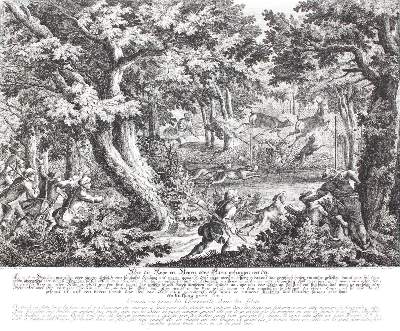 Bild Nr.31: 128-3316 Rotwild/Rotwildjagd.: (Varia, Jagd, Ridinger)