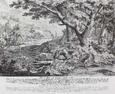 Bild Nr.51: 128-3316 Rotwild/Rotwildjagd.: (Varia, Jagd, Ridinger)