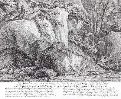 Bild Nr.1: 128-3319 Waldtiere.: (Varia, Jagd, Ridinger)