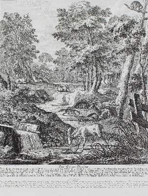 Bild Nr.31: 128-3319 Waldtiere.: (Varia, Jagd, Ridinger)