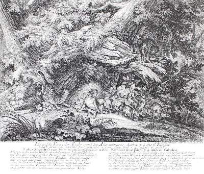 Bild Nr.1: 128-3321 Wildkatzen.: (Varia, Jagd, Ridinger)