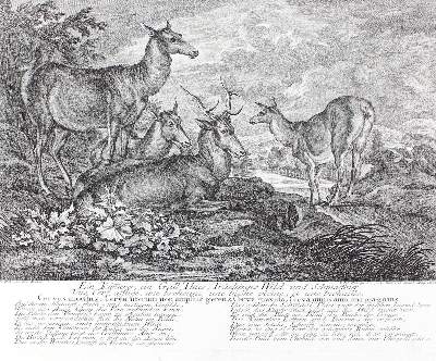 Bild Nr.1: 128-3323 Wildtiere.: (Varia, Jagd, Ridinger)