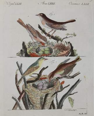 Bild Nr.2: 128-3343 Konvolut: (Varia)