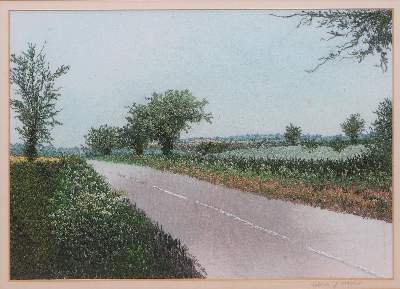 Bild Nr.1: 128-3364 Naylor, Sylvia: (Varia)