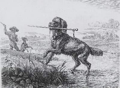 Bild Nr.4: 128-3396 Hunde.: (Varia, Zoologie)
