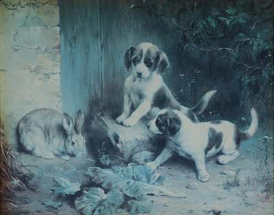 Bild Nr.50: 128-3396 Hunde.: (Varia, Zoologie)