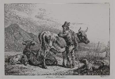 Bild Nr.1: 128-3398 Kühe.: (Varia, Zoologie)