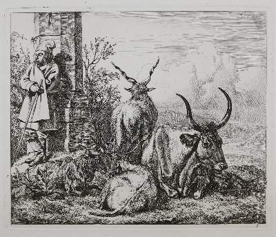 Bild Nr.1: 128-3403 Verschiedene Tiere.: (Varia, Zoologie)