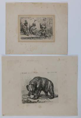 Bild Nr.2: 128-3403 Verschiedene Tiere.: (Varia, Zoologie)