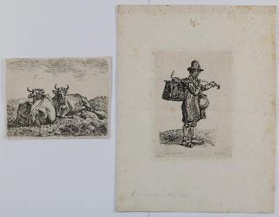 Bild Nr.4: 128-3403 Verschiedene Tiere.: (Varia, Zoologie)