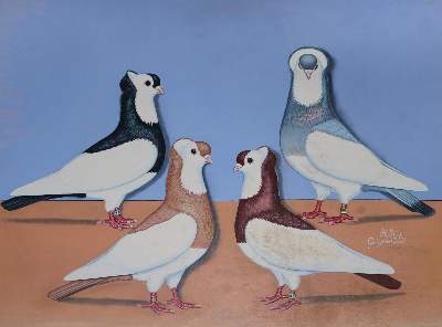 Bild Nr.4: 128-3407 Sammlung: (Varia, Zoologie, Vögel)