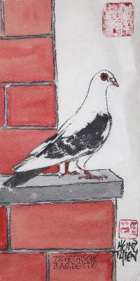 Bild Nr.7: 128-3407 Sammlung: (Varia, Zoologie, Vögel)