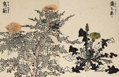 Bild Nr.2: 128-3595 Pflanzen.: (Ausland, China)