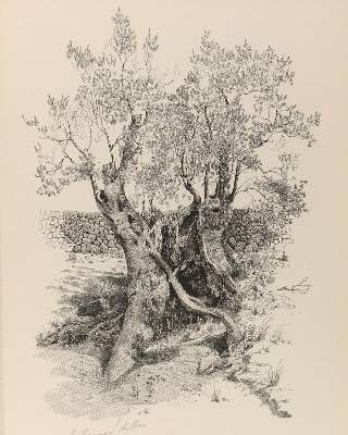 Bild Nr.1: 128-3664 Venedig.: (Ausland, Italien)