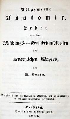 Bild Nr.1: 128-38 Henle,J.: (Aus der Sammlung Professor Dr.Dr.Johannes Büttner Teil 1)