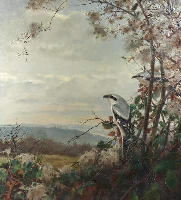 Bild Nr.1: 128-3869 Aichele, Erwin: (Künstlergraphik)