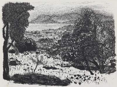 Bild Nr.1: 128-3952 Bonnard, Pierre: (Künstlergraphik)