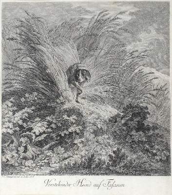 Bild Nr.2: 128-4255 Ridinger, Johann Elias: (Künstlergraphik, Jagd)