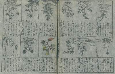 Bild Nr.1: 128-4264 Botanik.: (Künstlergraphik, Japan)