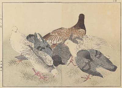 Bild Nr.2: 128-4280 Keinen, Imao: (Künstlergraphik, Japan)