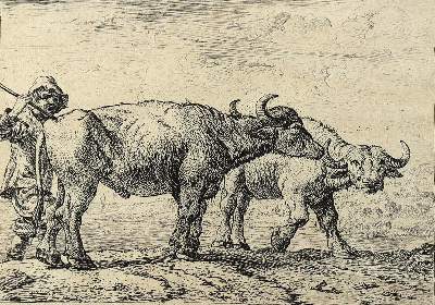 Bild Nr.2: 128-4391 Laer, Pieter van: (Künstlergraphik)