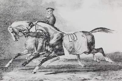 Bild Nr.1: 128-4546 Géricault, Théodore: (Künstlergraphik, Pferde)