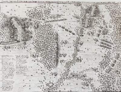Bild Nr.2: 128-503 Merian,M.: (Merian)