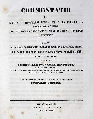 Bild Nr.1: 128-76 Sammlung: (Aus der Sammlung Professor Dr.Dr.Johannes Büttner Teil 1)