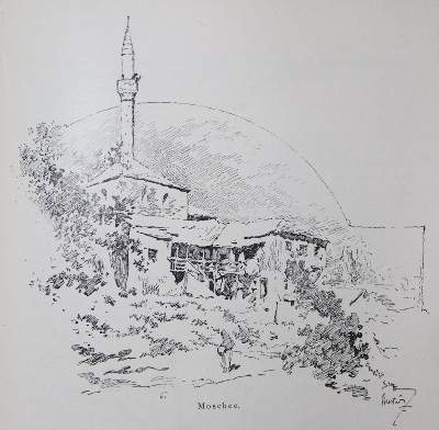 Bild Nr.6: 128-809 Rückgänge: (Varia)