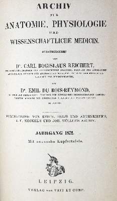 Bild Nr.1: 128-94 Sammlung: (Aus der Sammlung Professor Dr.Dr.Johannes Büttner Teil 1)