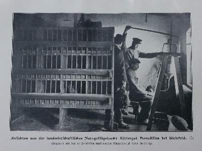Bild Nr.1: 128-956 Buffon,(G.L.L.)de.: (Land- und Forstwirtschaft, Tierhaltung, Geflügel)