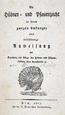 Bild Nr.1: 128-967 (Riedel,W.).: (Land- und Forstwirtschaft, Tierhaltung, Geflügel)