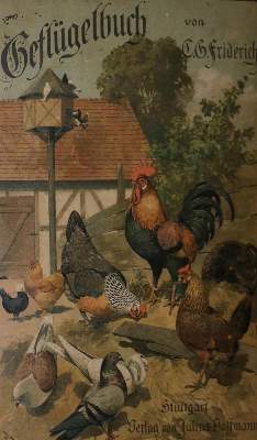Bild Nr.1: 128-979 Sammlung: (Land- und Forstwirtschaft, Tierhaltung, Geflügel)