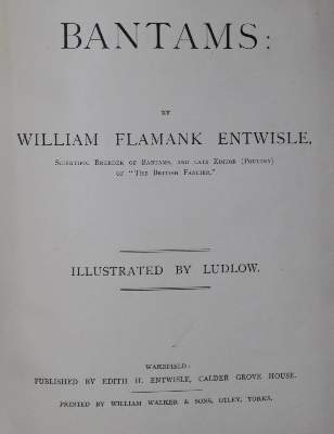 Bild Nr.1: 128-983 Sammlung: (Land- und Forstwirtschaft, Tierhaltung, Geflügel)