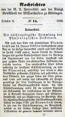 Bild Nr.1: 128-99 Schiff,M.: (Aus der Sammlung Professor Dr.Dr.Johannes Büttner Teil 1)