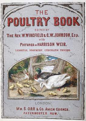 Bild Nr.1: 128-991 Wingfield,W. u. G.W.Johnson.: (Land- und Forstwirtschaft, Tierhaltung, Geflügel)