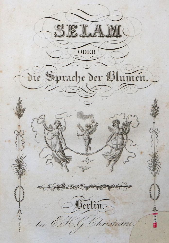 Große Abbildung Nr.1: 129-1088 (Symanski,J.D.).: (Literatur und illustrierte Bücher bis 19.Jahrhundert)